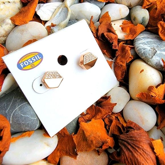 Fossil earring - Picture 2 of 3